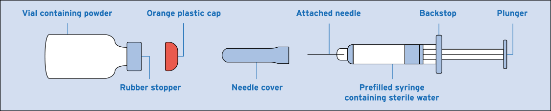 Figure A: Image of Emergency Kit contents